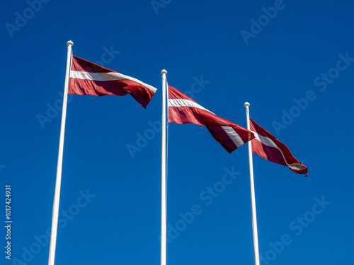 Three Latvian flags on white masts and blue sky. The day of the proclamation of Latvia s independence on November 18. The day of restoration of national independence on May 4 photo