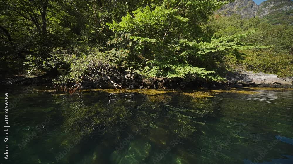 A peaceful scene along the Geiranger Fjord, where clear water mirrors the trees and rocky shoreline. A peaceful scene along the Geiranger Fjord, where clear water mirrors the trees and rocky shoreline.