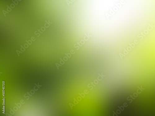 Green nature background bokeh leaf nature summer springtime blur sunlight natural fresh foliage environment ecosystem zero carbon envergy change backdrop, mockup product aesthetic beauty organic.