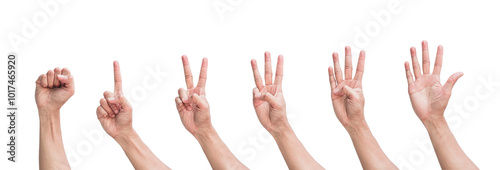 Set of hand gesture showing Number sequence fingers isolated on white background. Various gestures of hands. Clipping Path