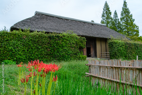 茅葺屋根と彼岸花