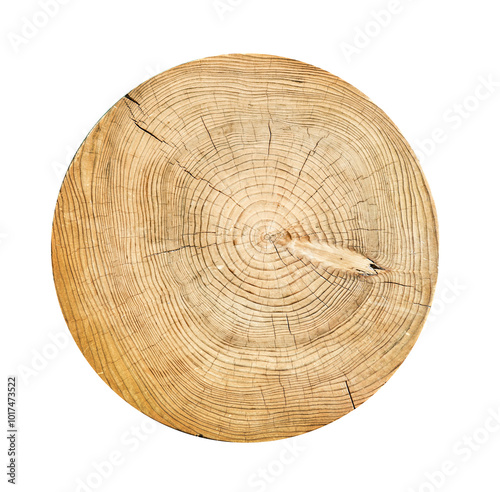 Vintage wood slab slice isolated on white with Tree Rings texture from Wood Cross Section. Rich wood textured background.
 photo