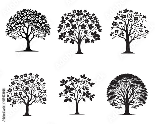 Set of Dogwood tree Silhouette Design - Dogwood Plant ClipArt Vector illustration
