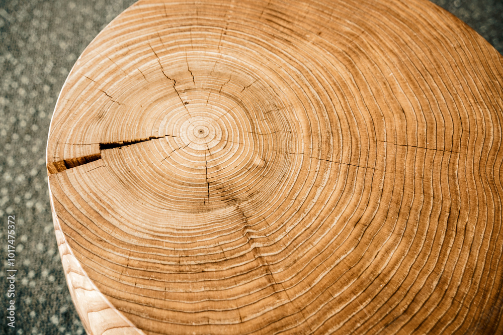 Naklejka premium Modern interior with wood slab coffee table. Tree Rings Art from Wood Cross Section. Wood slice background.