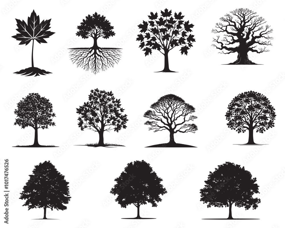 Fototapeta premium Collection of Maple tree Silhouette Design - Tree ClipArt Vector illustration