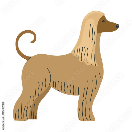 Afghan hound icon clipart avatar logotype isolated illustration