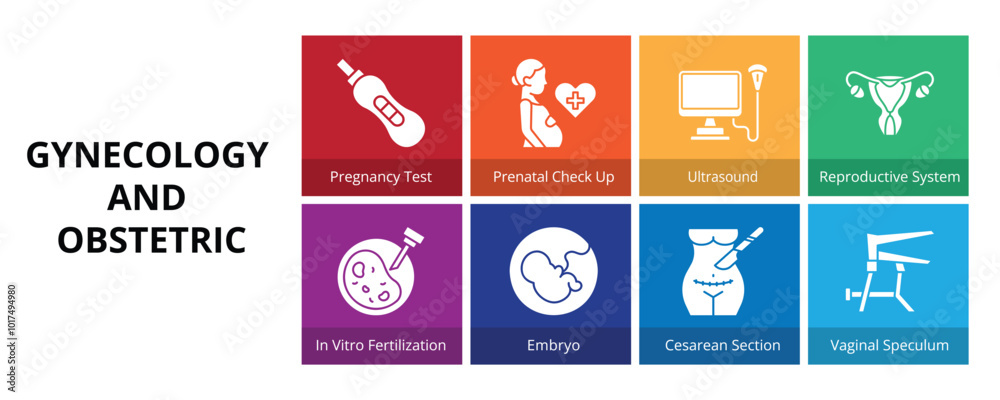 Gynecology and Obstetric Glyph Solid Banner Web Icon Set Vector Illustration, Pregnancy Prenatal Checkup Ultrasound Reproductive System In Vitro Fertilization Embryo Cesarean Section Vaginal Speculum Gynecology and Obstetric Glyph Solid Banner Web Icon Set Vector Illustration, Pregnancy Prenatal Checkup Ultrasound Reproductive System In Vitro Fertilization Embryo Cesarean Section Vaginal Speculum
