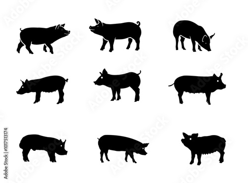 A set of pig silhouette image Vector