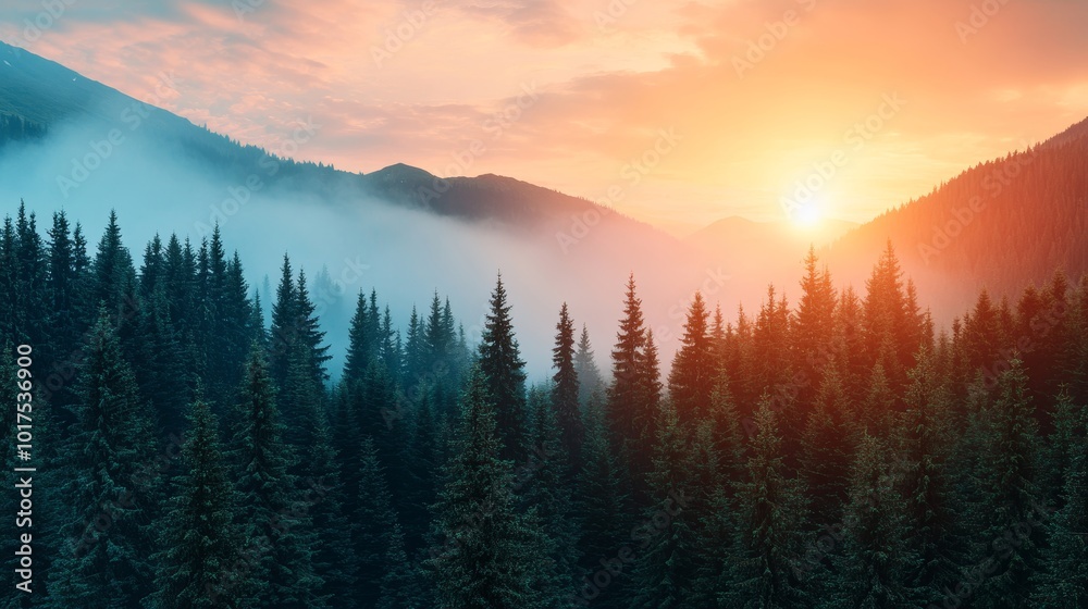 Obraz premium Misty foggy mountain landscape with fir forest amazing sunset sky and copyspace in vintage retro hipster style