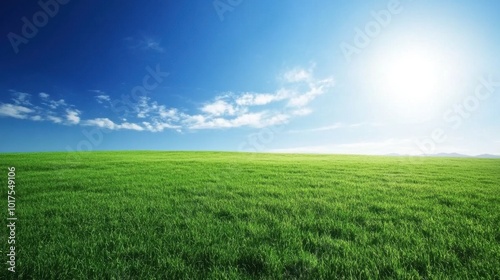 Expansive green fields under a clear blue sky with sunlight illuminating the vibrant landscape stretching to the horizon