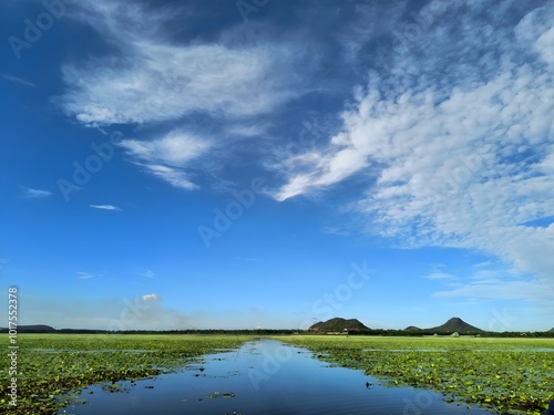 A beautiful landscape photograph