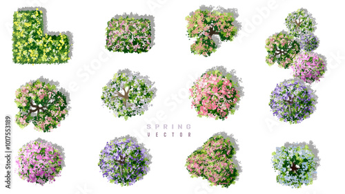 Vertor set of spring blossom tree,blooming plants side view for landscape elevation and section,eco environment concept design,watercolor shrub illustration,colorful season