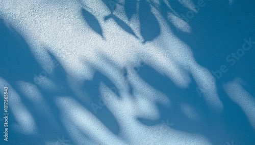 影 木漏れ日 葉 陰影 壁 光 柔らかい光 自然 日差し シルエット 模様 明暗 コントラスト テクスチャ 植物 柔らかい ナチュラル ミニマル パターン 光景