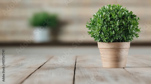 Green Plant in Pot on Rustic Wooden Table Home Decor Interior Design