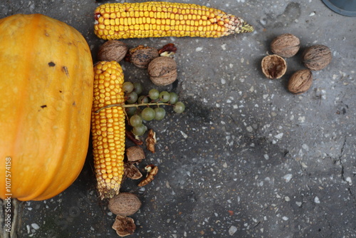 Autumn harvest elements on the concrete background