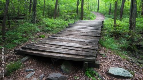 The old wood boardwalk bridge on the trail in the woods