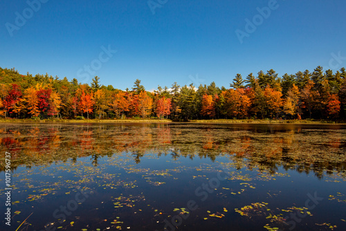 Fall foliage of New Hampshire forest trees reflected on water. photo