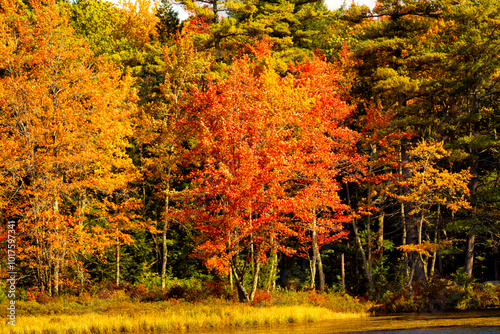 Brilliant fall foliage at Morey Pond in New Hampshire. photo