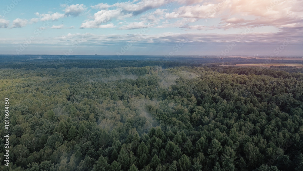 Aerial view of fog rolling over vast forest Aerial view of fog rolling over vast forest
