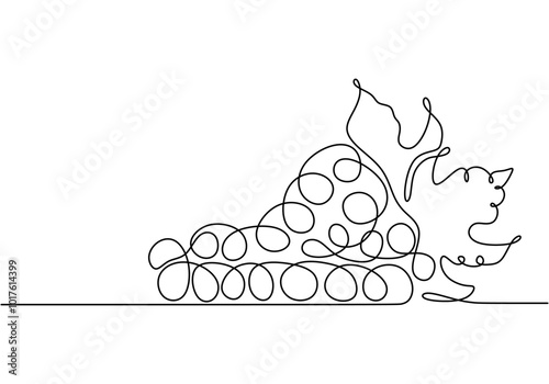 Grapes in continuous line drawing. Simple design for healthy fruit and vineyard themes.