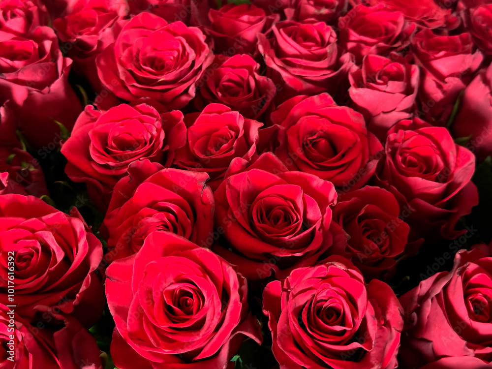 Fototapeta premium big bouquet of red roses