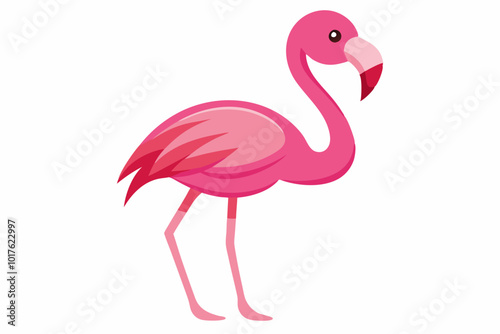 Pink flamingo bird vector, Exotic pink flamingo bird, Flamingo bird animal clipart
