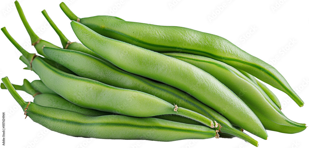 Fototapeta premium Green Beans illustration - Haricots Verts vegetable isolated on a white background 
