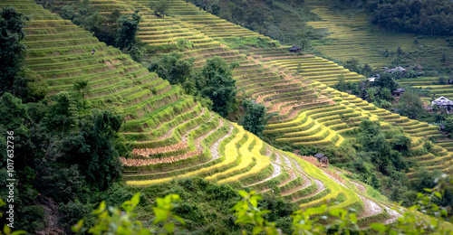 Admiring the beautiful terraced fields in Bac Quang District, Ha Giang Province, Vietnam photo