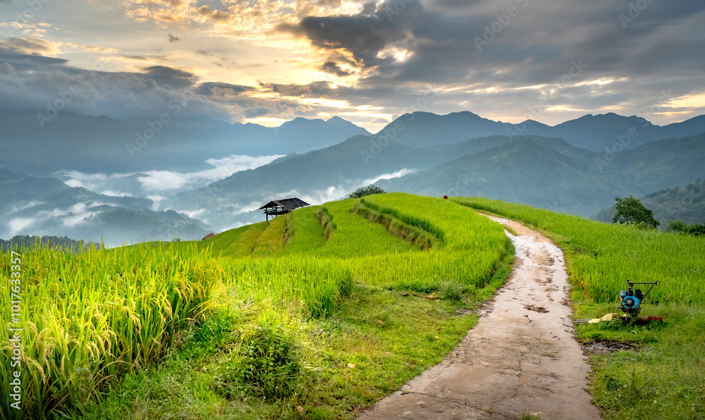 Obraz premium The beautiful scenery like heaven of Nam Hong village, Ha Giang province, Vietnam. Feeling peaceful, relaxed and full of life.