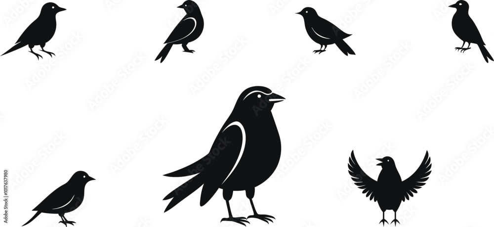 Fototapeta premium bird silhouette vector art logo Icon design black and white