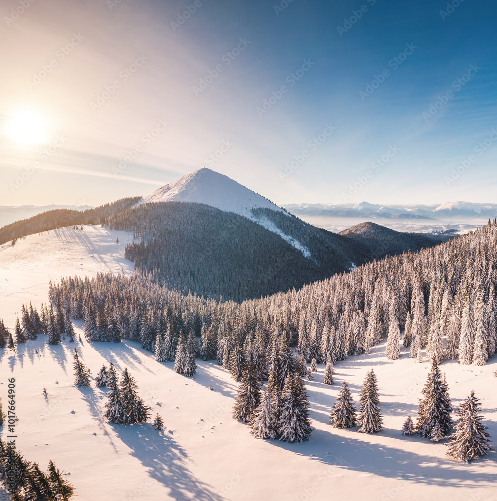 A magical winter landscape of nature from a bird's eye view. Carpathian mountains, Ukraine.