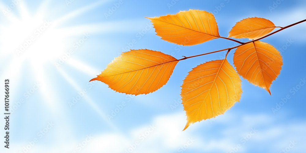 Obraz premium autumn leaves against blue sky