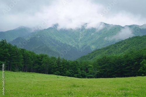 Serene green mountains shrouded in mist under a cloudy sky at dawn