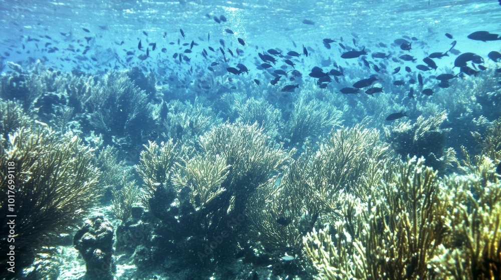 Fototapeta premium Exploring the Underwater World: A Vibrant Marine Ecosystem teeming with Life