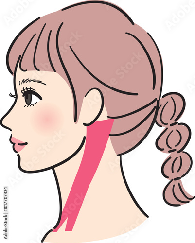横顔の若い女性　胸鎖乳突筋