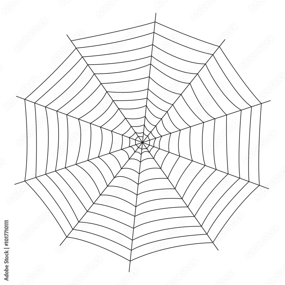 Obraz premium Spider Web Illustration