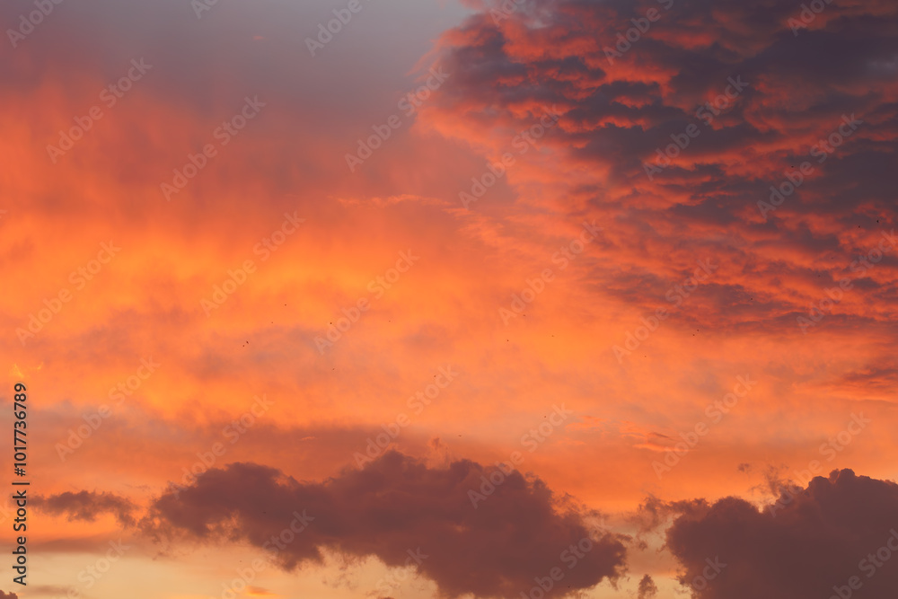 Fototapeta premium Cloudy sky and orange sun lights reflecting from clouds