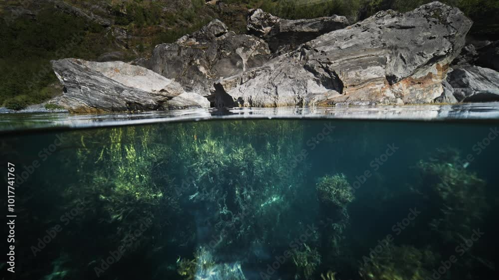 A scenic split view shows rocky cliffs along the Geiranger Fjord shoreline and flourishing underwater vegetation. A scenic split view shows rocky cliffs along the Geiranger Fjord shoreline and flourishing underwater vegetation.
