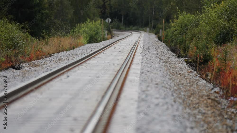 A railway track stretches forward on a gravel bed, surrounded by dense forest, with no train in sight.