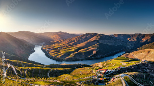 terraced Portuguese vineyards near Nagozelo do Douro