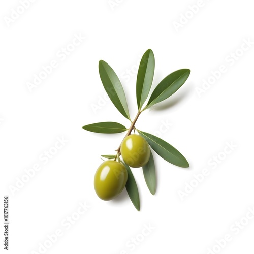 Wallpaper Mural Green olives on a branch with leaves Torontodigital.ca