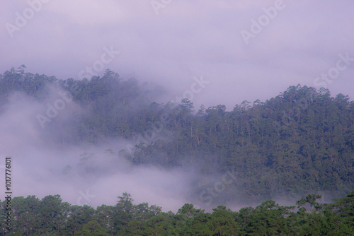 landscape and sky background concept, nature of north Thailand, fog-laden valleys.