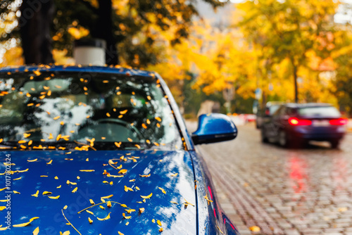 Moody scenic view modern blue car windshield covered golden yellow fallen leaves parked wet city street on autumn rainy day. Overcast sky rain  road drive. Seasonal weather conditions photo