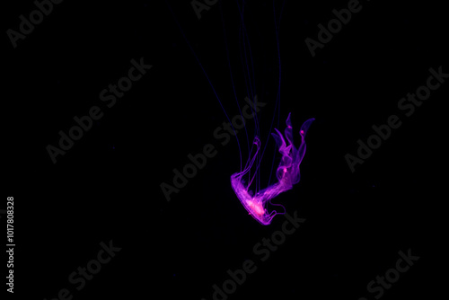 Purple smoke wisps dance in the air against a dark backdrop during an artistic display photo