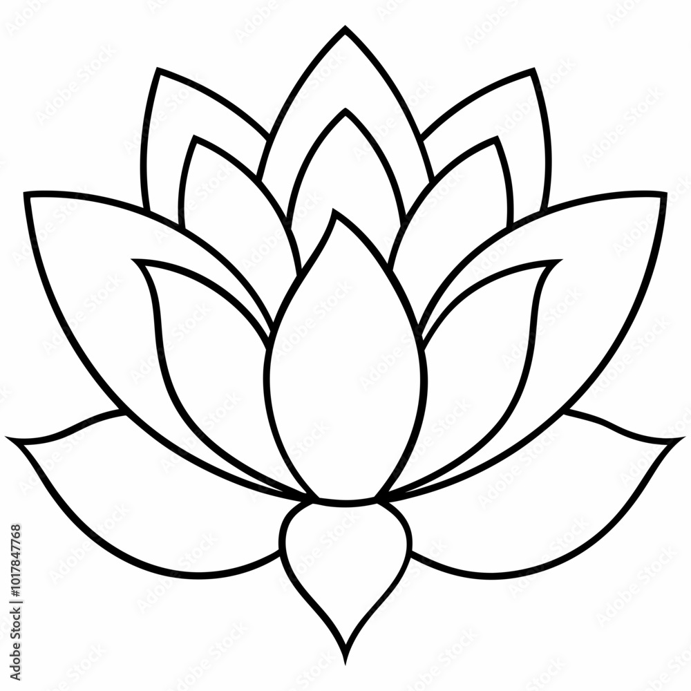 lotus flower vector lotus flower vector