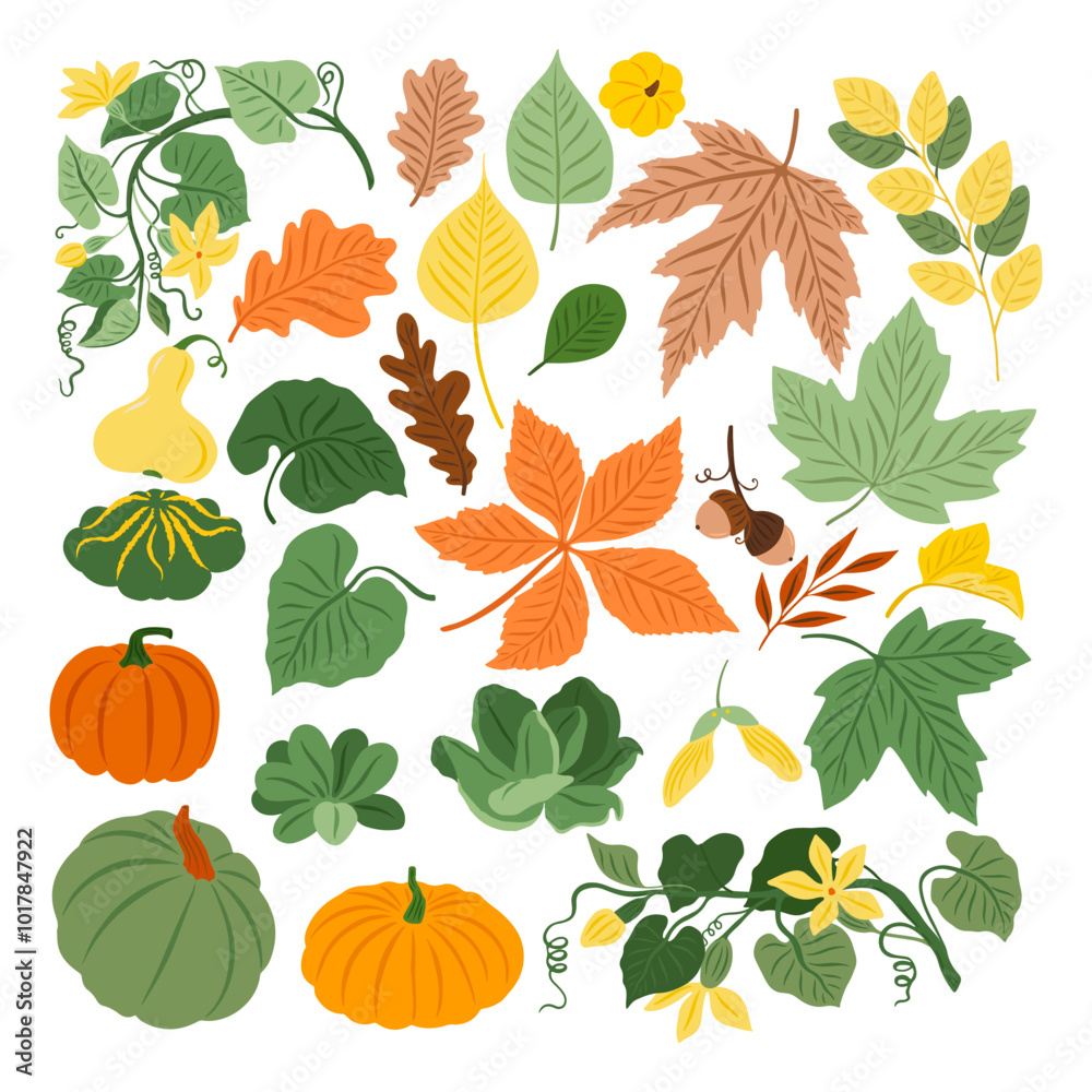 Obraz premium Autumn collection with pumpkin, flowers, oak and maple leaves on white background. Perfect for wallpaper, gift paper, autumn greeting cards.