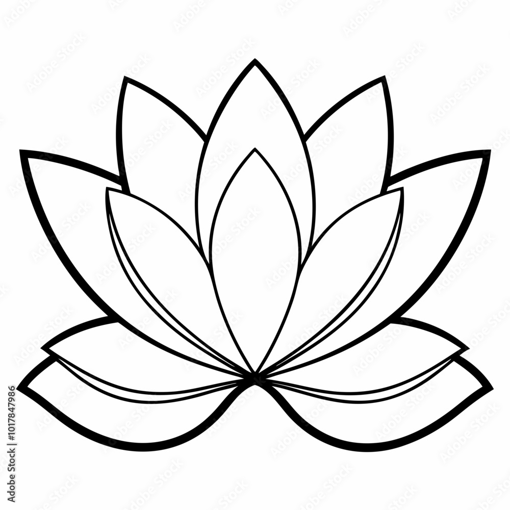 lotus flower vector lotus flower vector