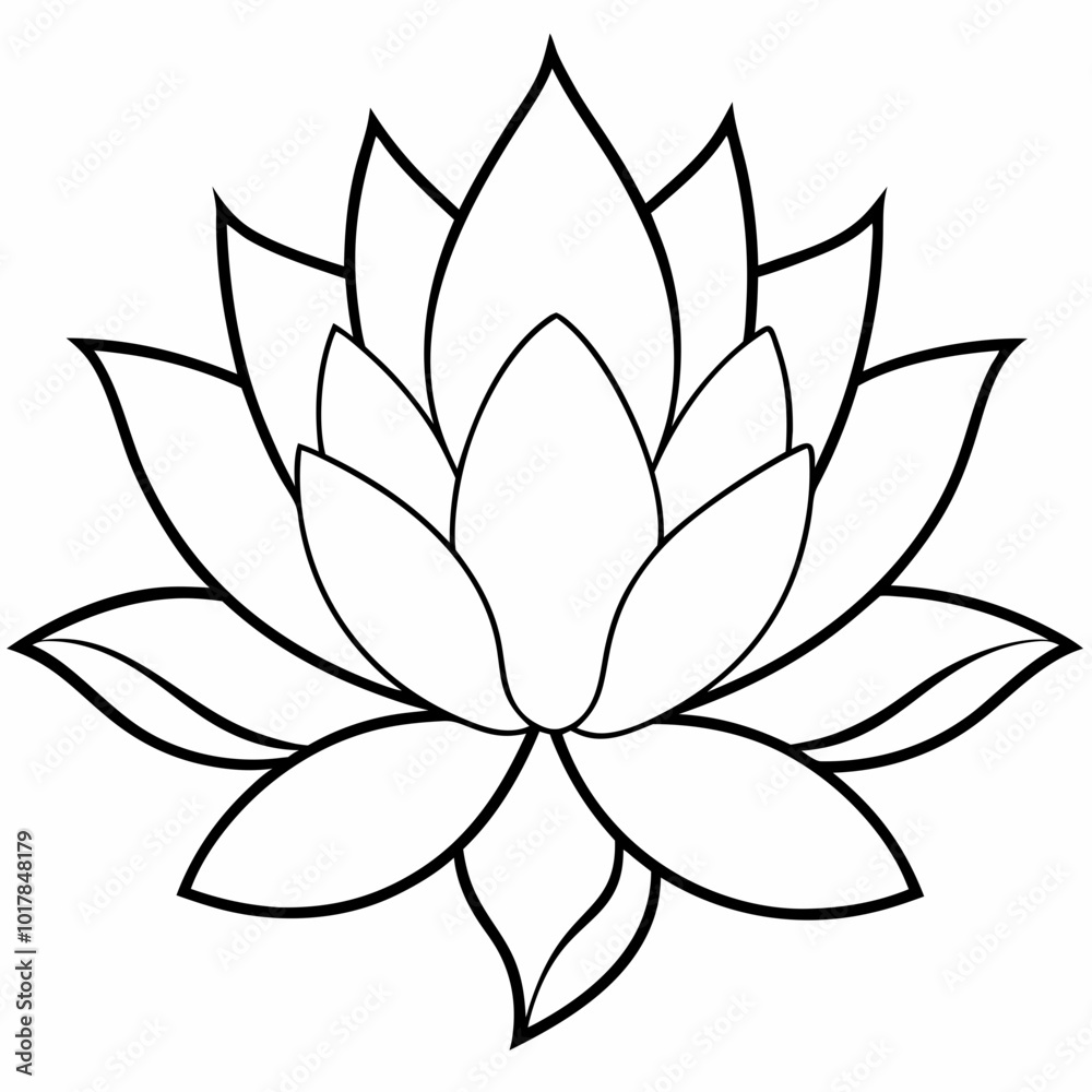 lotus flower vector lotus flower vector