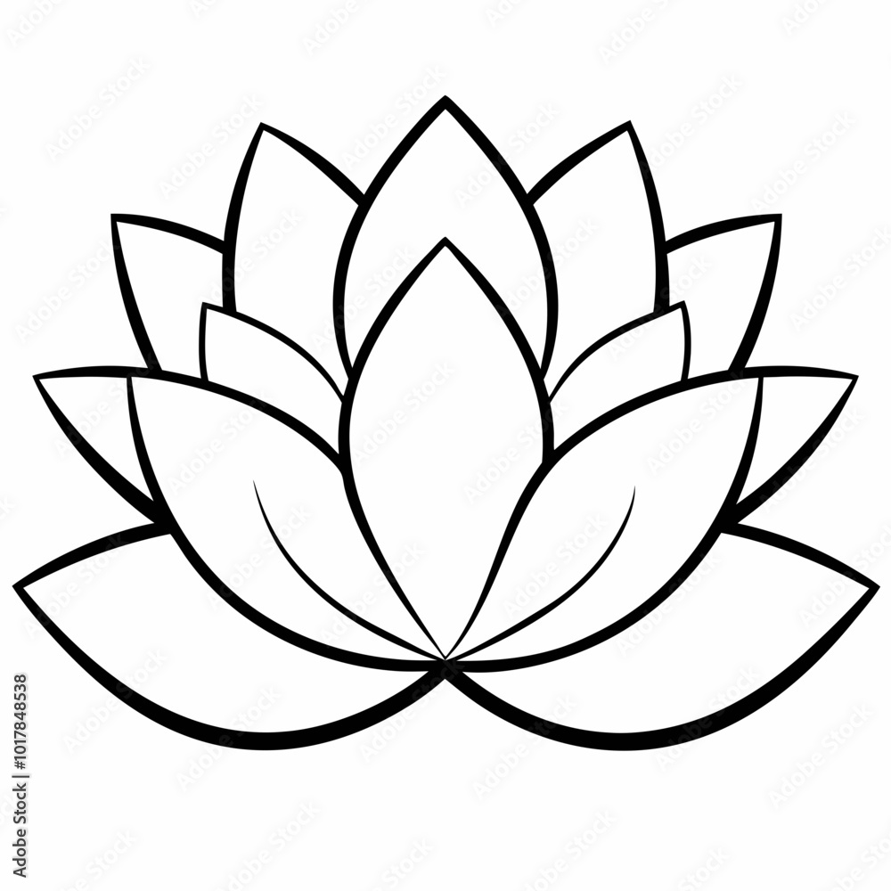 lotus flower vector lotus flower vector