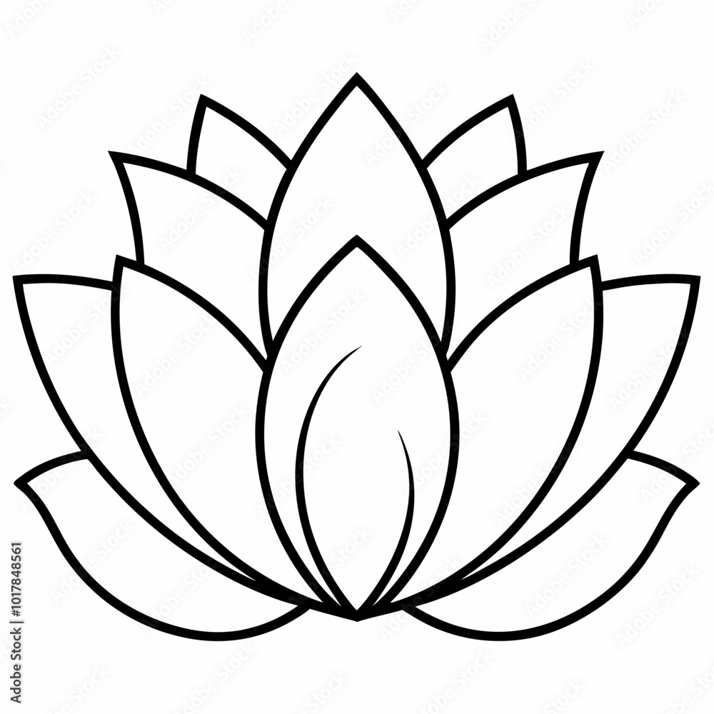 lotus flower vector lotus flower vector